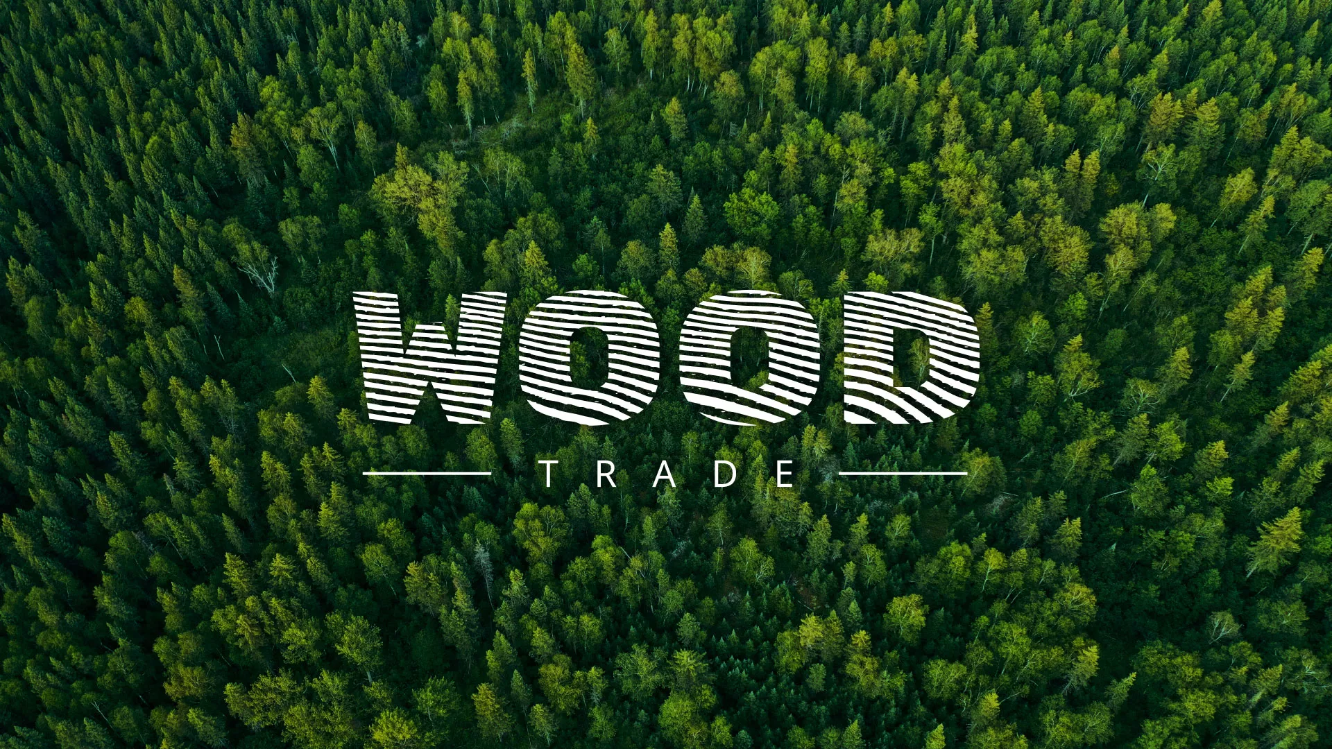 Разработка интернет-магазина компании «Wood Trade» в Оби